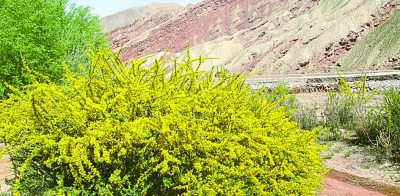 在充滿(mǎn)希望和信心的村莊里
