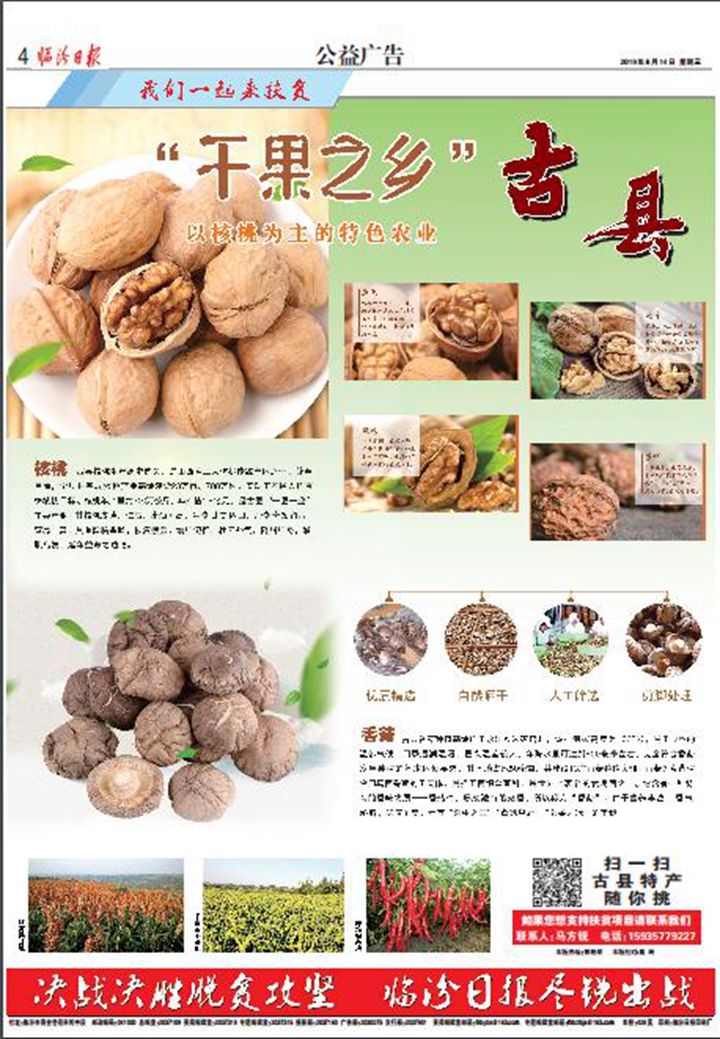 “干果之鄉”古縣：以核桃為主的特色農業(yè)