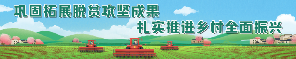 鞏固拓展脫貧攻堅成果 扎實(shí)推進(jìn)鄉村全面振興