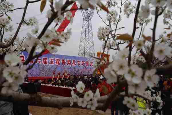 隰縣第六屆玉露香梨花節（14張）